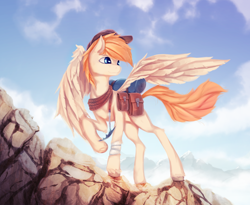 Size: 1280x1052 | Tagged: safe, artist:fruitbloodmilkshake, oc, oc only, oc:sacred heart, commission, mountain, solo, unshorn fetlocks