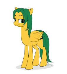 Size: 3369x3703 | Tagged: safe, artist:lolepopenon, oc, oc only, oc:bell igerent, pegasus, pony, simple background, solo, transparent background