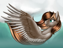 Size: 3200x2400 | Tagged: safe, artist:iraincloud, oc, oc only, oc:marble mocha, pegasus, pony, flying, solo