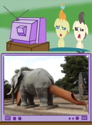 Size: 562x768 | Tagged: safe, pound cake, pumpkin cake, elephant, cake twins, exploitable meme, funny, joke, meme, obligatory pony, slide, tv meme, unfortunate design, what has science done