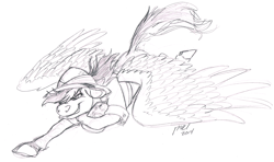 Size: 1242x736 | Tagged: safe, artist:carnivorouscaribou, daring do, artifact, monochrome, sketch, solo, spread wings, traditional art