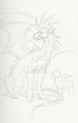 Size: 713x1119 | Tagged: safe, artist:radioactivedeadend, spike, dragon, adult, adult spike, monochrome, older, sketch, traditional art, watermark