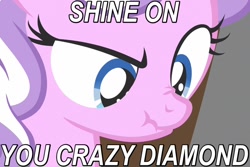 Size: 750x500 | Tagged: safe, screencap, diamond tiara, ponyville confidential, caption, close-up, image macro, nose wrinkle, pink floyd, scrunchy face, shine on you crazy diamond, solo, song, song reference