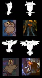 Size: 776x1423 | Tagged: safe, owlowiscious, bird, owl, archimedes, barely pony related, behind the scenes, don bluth, the great owl, the secret of nimh, the sword in the stone