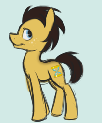 Size: 500x602 | Tagged: safe, artist:vividvulpine, doctor whooves, earth pony, pony, brown coat, brown mane, male, solo, stallion