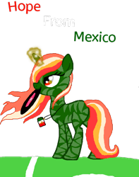 Size: 576x731 | Tagged: safe, artist:bluesplash1, oc, oc only, oc:hope from mexico, mexico, nation ponies, solo