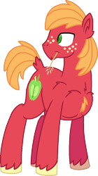 Size: 618x1100 | Tagged: safe, artist:starryoak, big macintosh, earth pony, pony, chest fluff, hay, male, simple background, solo, stallion, straw in mouth, transparent background, unshorn fetlocks