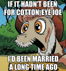 Size: 500x541 | Tagged: safe, idw, cotton eye joe, cotton eyed joe, image macro, meme, rednex, song reference