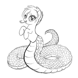 Size: 800x800 | Tagged: safe, lamia, original species, snake, forked tongue, monochrome, monster, scales