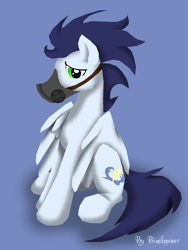 Size: 600x800 | Tagged: safe, artist:binikastar, soarin', backwards cutie mark, respirator, solo