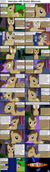 Size: 1282x4375 | Tagged: safe, doctor whooves, earth pony, pony, comic:celestia's servant interview, caption, comic, cs captions, interview, male, solo, stallion, tardis