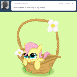 Size: 1280x1280 | Tagged: safe, artist:squiby-327, posey, g1, ask, ask posey, basket, filly, flower, solo, tumblr, younger