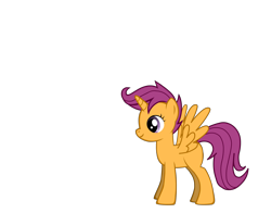 Size: 3320x2600 | Tagged: safe, scootaloo, alicorn, pony, pony creator, older, race swap, scootacorn, solo