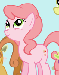 Size: 609x777 | Tagged: safe, screencap, pink lady, earth pony, pony, friendship is magic, apple family member, background pony, character named in the comments, cropped, female, mare, name suggestion in the comments, pink, smiling, solo focus