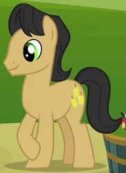 Size: 405x556 | Tagged: safe, screencap, golden delicious, earth pony, pony, apple family reunion, apple family member, background pony, cropped, male, solo, stallion