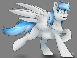 Size: 1024x772 | Tagged: safe, artist:applepop, oc, oc only, pegasus, pony, chest fluff, male, rule 63, smiling, stallion, trotting