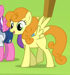 Size: 270x291 | Tagged: safe, screencap, carrot top, golden harvest, pegasus, pony, rainbow falls, animation error, background pony, missing cutie mark, wings