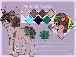 Size: 4000x3000 | Tagged: safe, artist:sunshineapple, oc, oc only, ear piercing, marijuana, reference sheet, russian, smoke weed erryday, solo