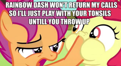 Size: 910x500 | Tagged: safe, apple bloom, scootaloo, image macro, meme, wat