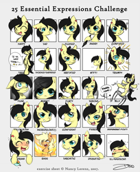 Size: 2364x2901 | Tagged: safe, artist:mrsremi, oc, oc only, 25 expressions, facial expressions