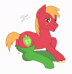 Size: 1793x1852 | Tagged: safe, artist:virgil green, big macintosh, earth pony, pony, big backintosh, clothes, cute, eyes, macabetes, male, plot, signature, simple background, socks, solo, stallion