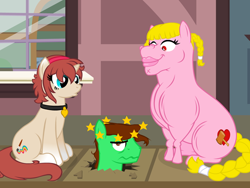 Size: 640x480 | Tagged: safe, artist:aha-mccoy, oc, oc only, oc:corel, oc:dick, oc:helga starkehuf, earth pony, pegasus, pony, unicorn, nopony-ask-mclovin, circling stars, collar, female, gradient hooves, male, mare, muscles, stallion