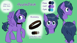 Size: 1280x720 | Tagged: safe, artist:naomiknight17, oc, oc only, oc:feather freight, pegasus, pony, collar, green background, looking at you, male, reference sheet, simple background, solo, stallion