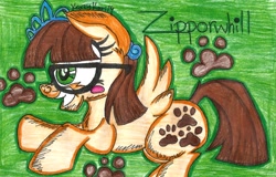 Size: 1663x1064 | Tagged: safe, artist:krazykari, derpibooru import, zippoorwhill, solo, traditional art