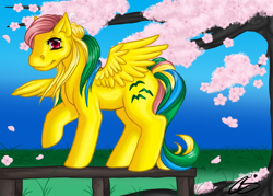 Size: 1050x750 | Tagged: safe, artist:cyzzane, skydancer, g1, balancing, peach blossoms