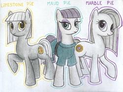 Size: 1018x766 | Tagged: safe, artist:islamilenaria, limestone pie, marble pie, maud pie, pie sisters, sisters