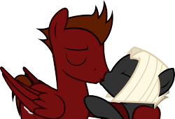 Size: 1392x947 | Tagged: safe, artist:outlawedtofu, edit, oc, oc only, oc:astral, oc:mach, pegasus, pony, fallout equestria, fallout equestria: outlaw, /mlp/, eyes closed, female, hug, incest, kissing, male, mastral, shipping, simple background, smiling, straight, transparent background, vector