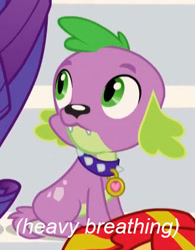 Size: 331x425 | Tagged: safe, edit, edited screencap, screencap, spike, dog, equestria girls, rainbow rocks, cropped, descriptive noise, heavy breathing, image macro, meme, sitting, spike the dog