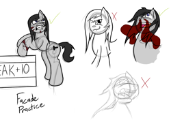 Size: 1400x1000 | Tagged: safe, artist:facade, oc, oc only, oc:facade, nosebleed, practice, sketch dump, totally not rampage