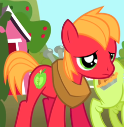 Size: 500x510 | Tagged: safe, screencap, big macintosh, granny smith, earth pony, pony, the cutie mark chronicles, colt, cropped, cute, macabetes, male, stallion, young, younger