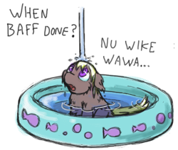 Size: 431x365 | Tagged: safe, artist:squeakyfriend, fluffy pony, bath time, fluffy pony original art, swimming pool, water, wet mane