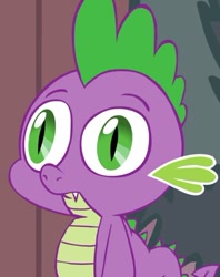 Size: 320x405 | Tagged: safe, artist:hotdiggedydemon, spike, dragon, .mov, reaction image, shed.mov, solo, thousand yard stare