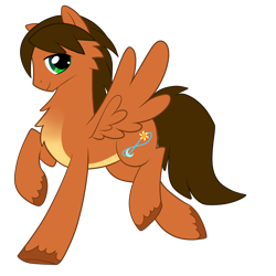 Size: 5500x5500 | Tagged: safe, artist:sakuyamon, oc, oc only, oc:endra, pegasus, pony, absurd resolution, male, rule 63, stallion