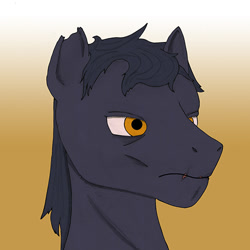 Size: 500x500 | Tagged: safe, artist:13-1-4-14-5-19-19, oc, oc only, earth pony, pony, bust, portrait, solo