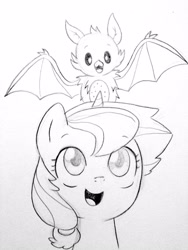 Size: 1200x1600 | Tagged: safe, artist:kianamai, oc, oc only, oc:anthea, oc:pitaya, bat, fruit bat, pony, unicorn, adopted offspring, blind, cute, female, kilala97 is trying to murder us, kilalaverse, mare, monochrome, next generation, offspring, parent:fluttershy, parent:oc:azalea, parent:oc:berry vine, parents:oc x oc, pencil drawing, solo, traditional art