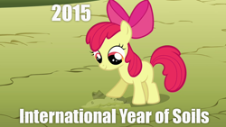 Size: 1280x720 | Tagged: safe, screencap, apple bloom, magical mystery cure, 2015, image macro, meme, new year