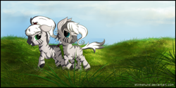 Size: 2400x1200 | Tagged: safe, artist:stinkehund, oc, oc only, zebra, female, fluffy, grass, scenery