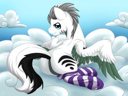 Size: 4000x3000 | Tagged: safe, artist:nothingspecialx9, oc, oc only, oc:kaouk, pegasus, pony, butt, clothes, cloud, cloudy, colored wings, colored wingtips, featureless crotch, raised tail, socks, solo, striped socks, wingboner, wings