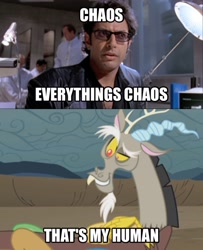 Size: 1494x1836 | Tagged: safe, discord, comparison, ian malcolm, jeff goldblum, jurassic park, meme, that's my pony, that's my x