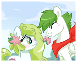 Size: 1024x827 | Tagged: safe, artist:xwhitedreamsx, oc, oc:gracidea, pony, blushing, crossover, female, flower, flower in hair, male, mare, pokémon, ponified, shaymin, stallion