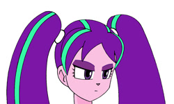 Size: 923x555 | Tagged: safe, artist:combatkaiser, aria blaze, equestria girls, rainbow rocks, bust, hairstyle swap, megaman battle network, portrait, shuko kido, solo