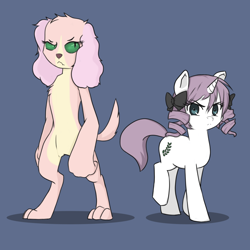 Size: 1024x1024 | Tagged: safe, artist:whatthescoots, oc, oc only, oc:velvet peach, diamond dog, drill mane