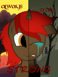 Size: 1566x2073 | Tagged: safe, artist:09mawes, oc, oc only, oc:fenrir bloodmoon, pony, unicorn, crying, solo, text, two sided posters