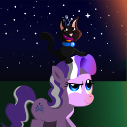 Size: 1317x1316 | Tagged: safe, artist:magerblutooth, diamond tiara, oc, oc:dazzle, cat, fireworks