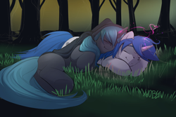 Size: 1280x853 | Tagged: safe, artist:noben, oc, oc only, oc:midnight charmer, oc:phalanx, pony, unicorn, female, forest, heart, male, sleeping