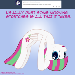 Size: 1024x1024 | Tagged: safe, artist:joey, blossomforth, ask, backbend, blossomforth answers, bridge stretch, flexible, solo, that pony sure is flexible, tumblr